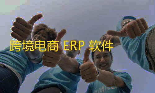 24小时点赞自助服务跨境电商 ERP 软件前十名�：功能全面助你高效运营
